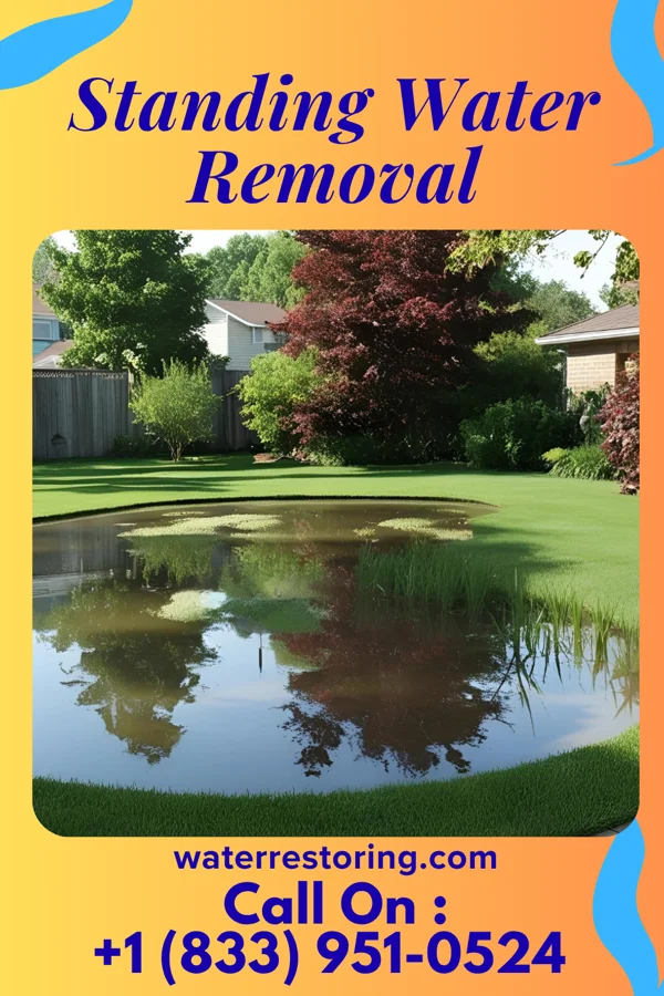 Standing Water Removal in Eagle Butte, SD